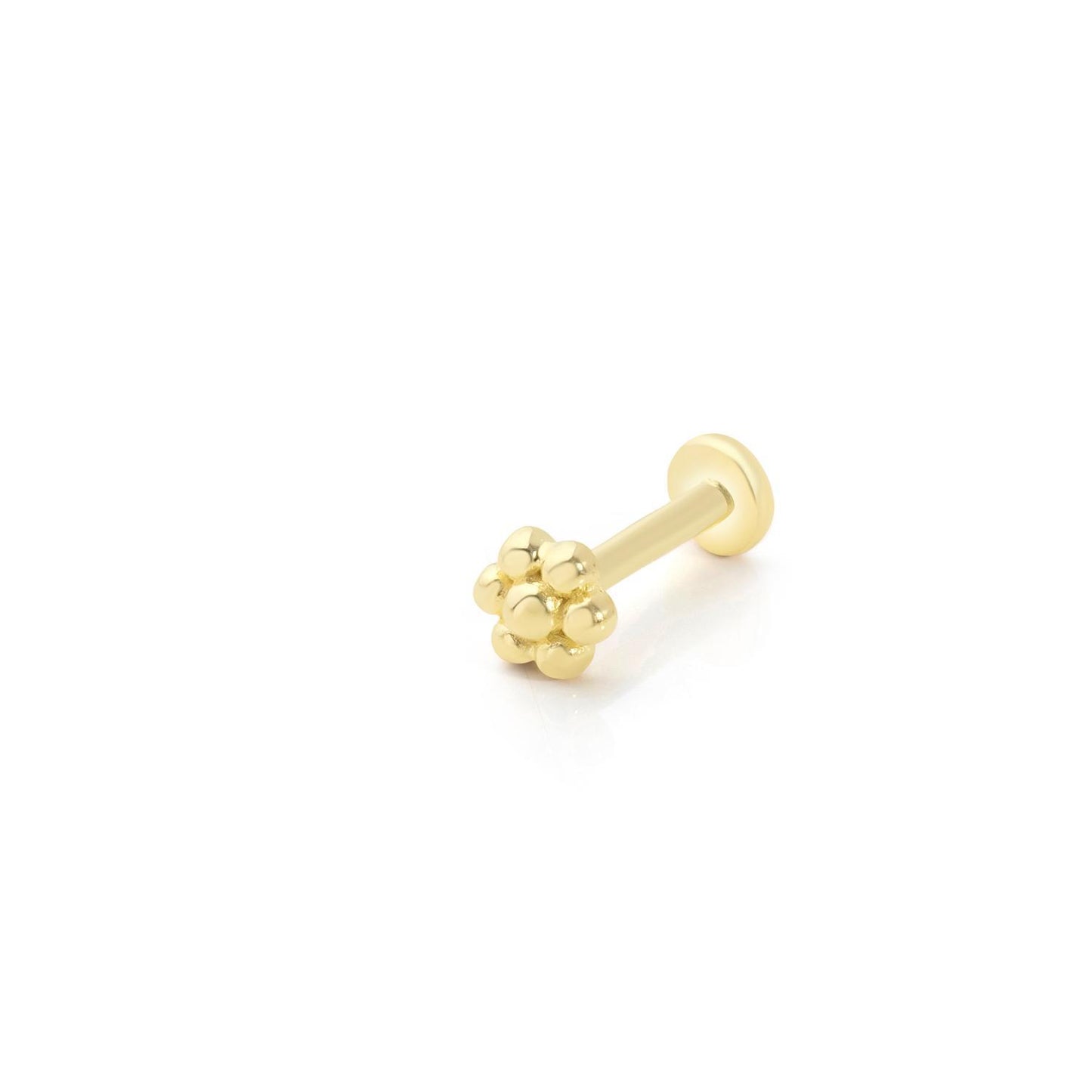 Olivia Piercing