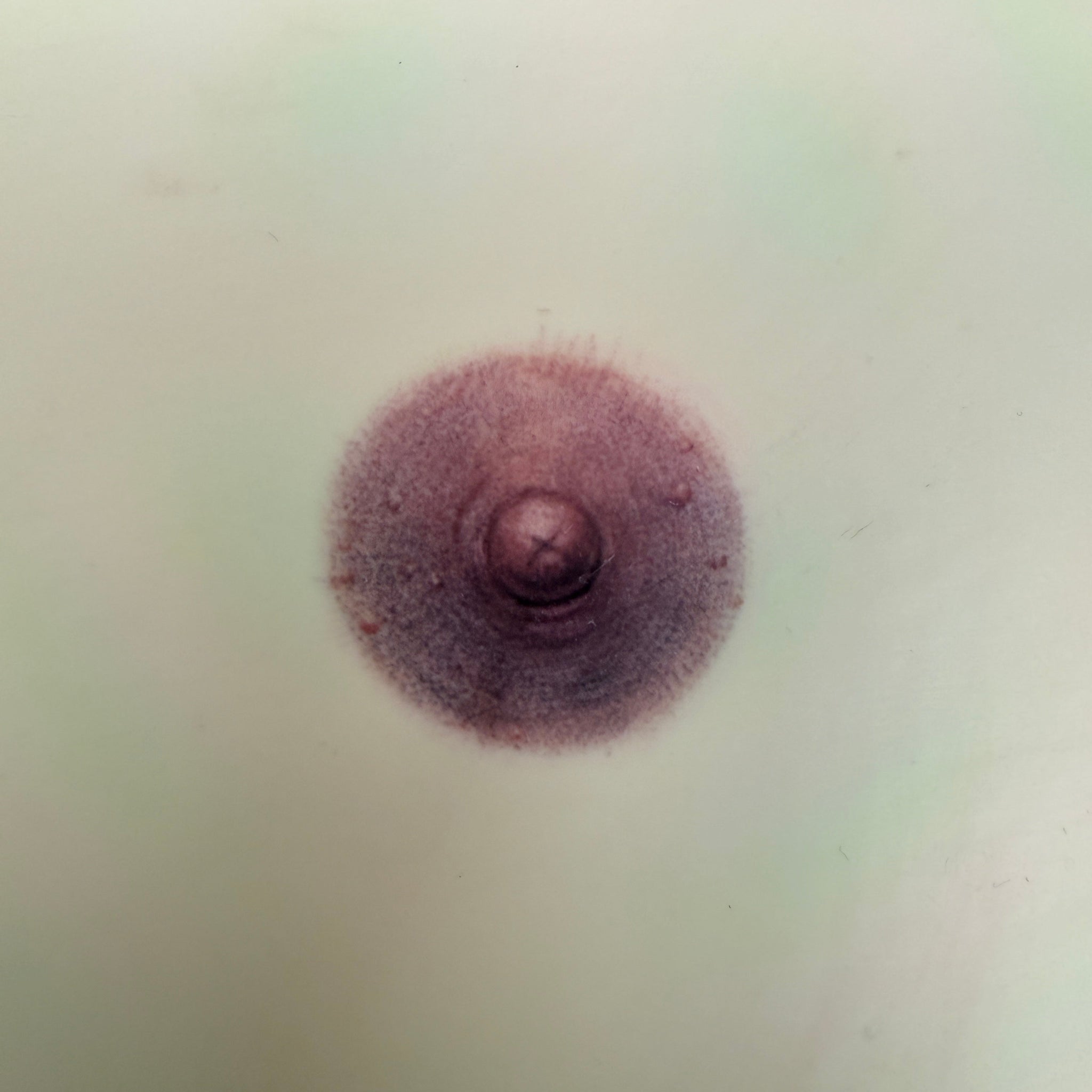 Honoring Strength & Beauty: The Story Behind Our Areola & Nipple Tattoos at JASEL